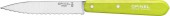 Нож Opinel Serrated №113 Inox. Цвет - салатовый Нож Opinel Serrated №113 Inox. Цвет - салатовый
