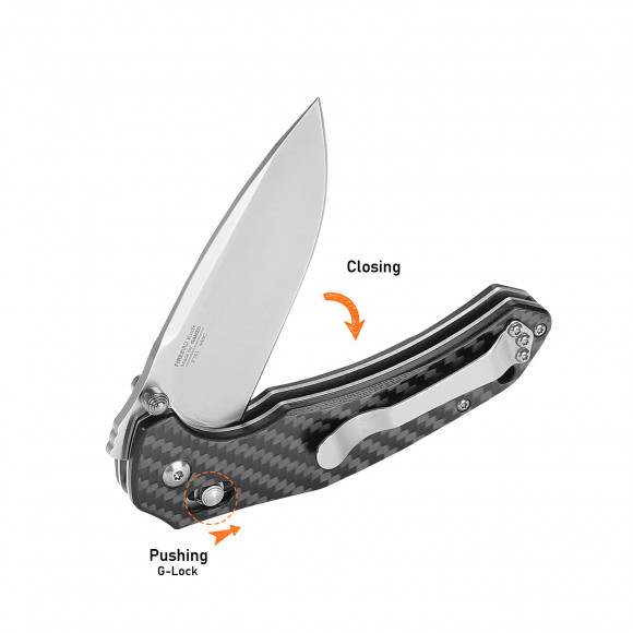 To jest moduł pamięci masowej Firebird F7611-CF To jest moduł pamięci masowej Firebird F7611-CF