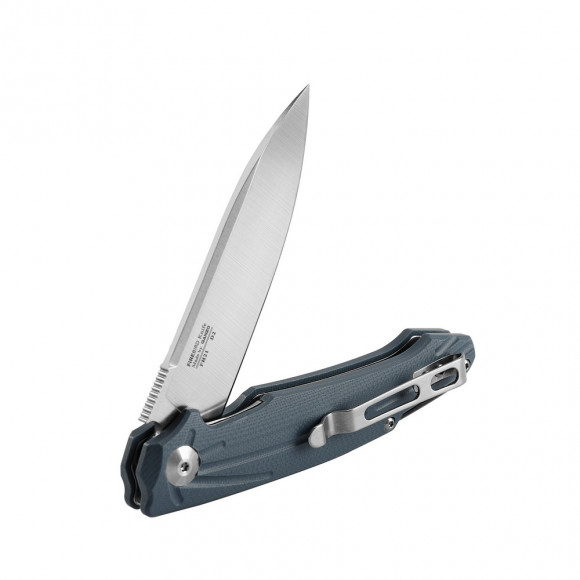 To jest pamięć masowa Firebird FH21-GY