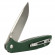 Folding knife Ganzo G6803 green