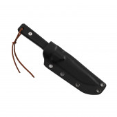 Mój Firebird FH805-BK