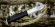 Morakniv Garberg knife