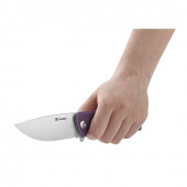 Ніж складань Ganzo G769-PL